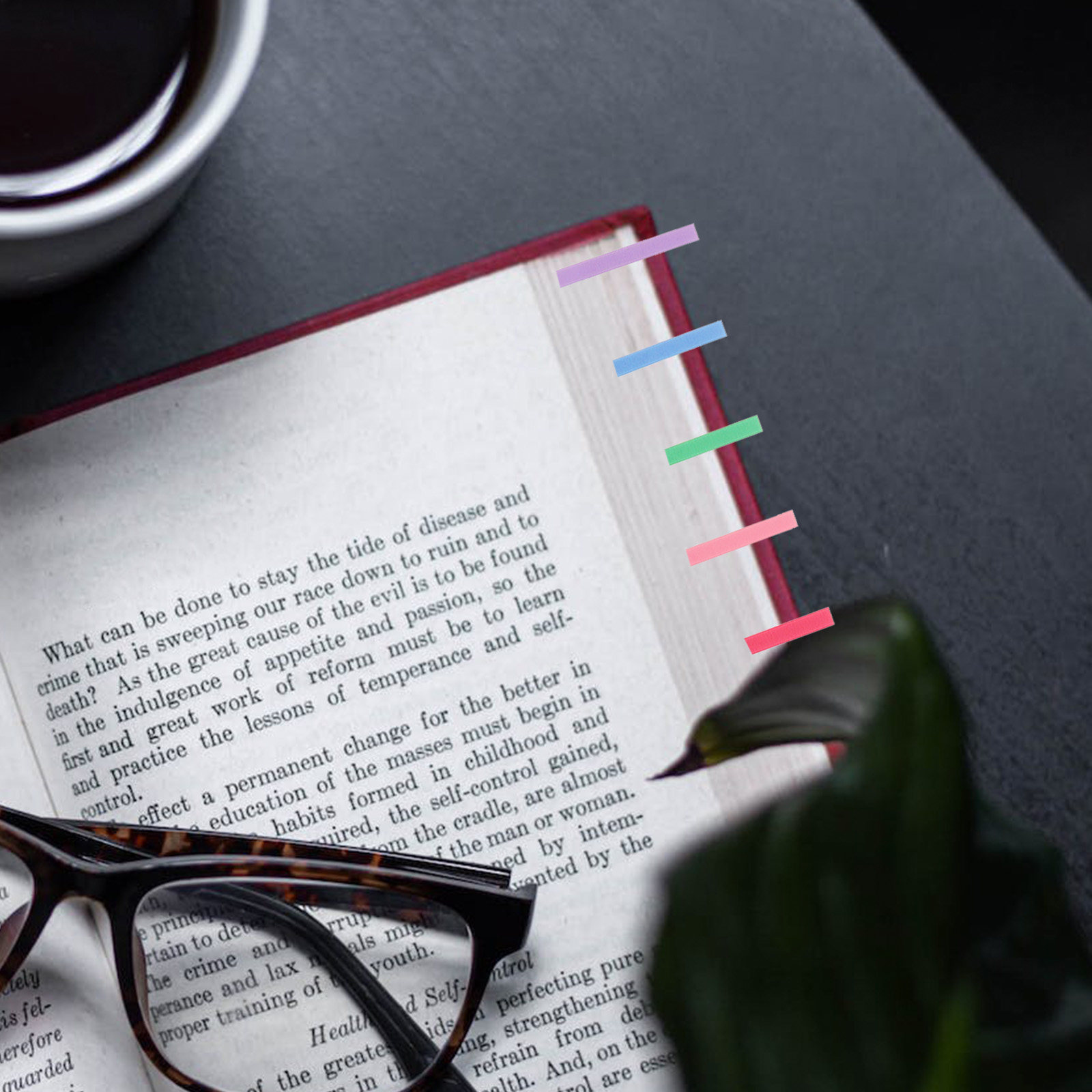 4 مجموعات من علامات القراءة ال - مراجعة Index Tab Divider وسعره